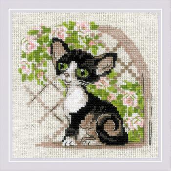 Гоблен Риолис 2121 Коте рекс